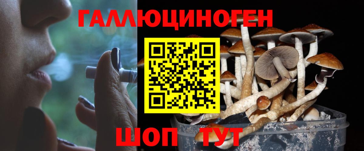 Камень-на-Оби  Галлюциногенные грибы Magic Shrooms  Вход с VPN 